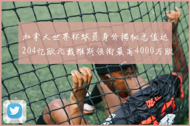 加拿大世界杯球员身价揭秘总值达204亿欧元戴维斯领衔最高4000万欧